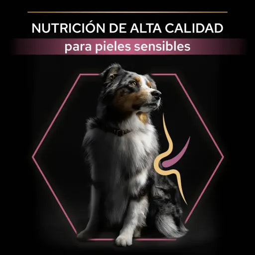 Pro Plan Dog OptiDerma Medium Adult Sensitive Skin Salmon - Ração seca para cão adulto de porte médio com pele sensível - Salmão