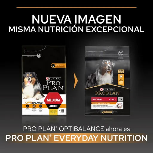Pro Plan Everyday Nutrition Medium Adult - Ração seca para cão adulto médio - Frango