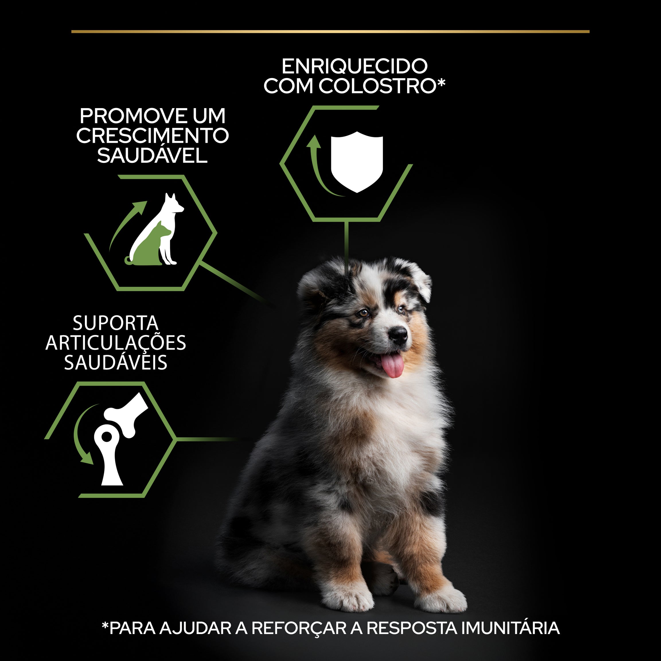 Purina Pro Plan Medium Puppy Healthy Start - Ração seca para cachorro médio rico em Frango
