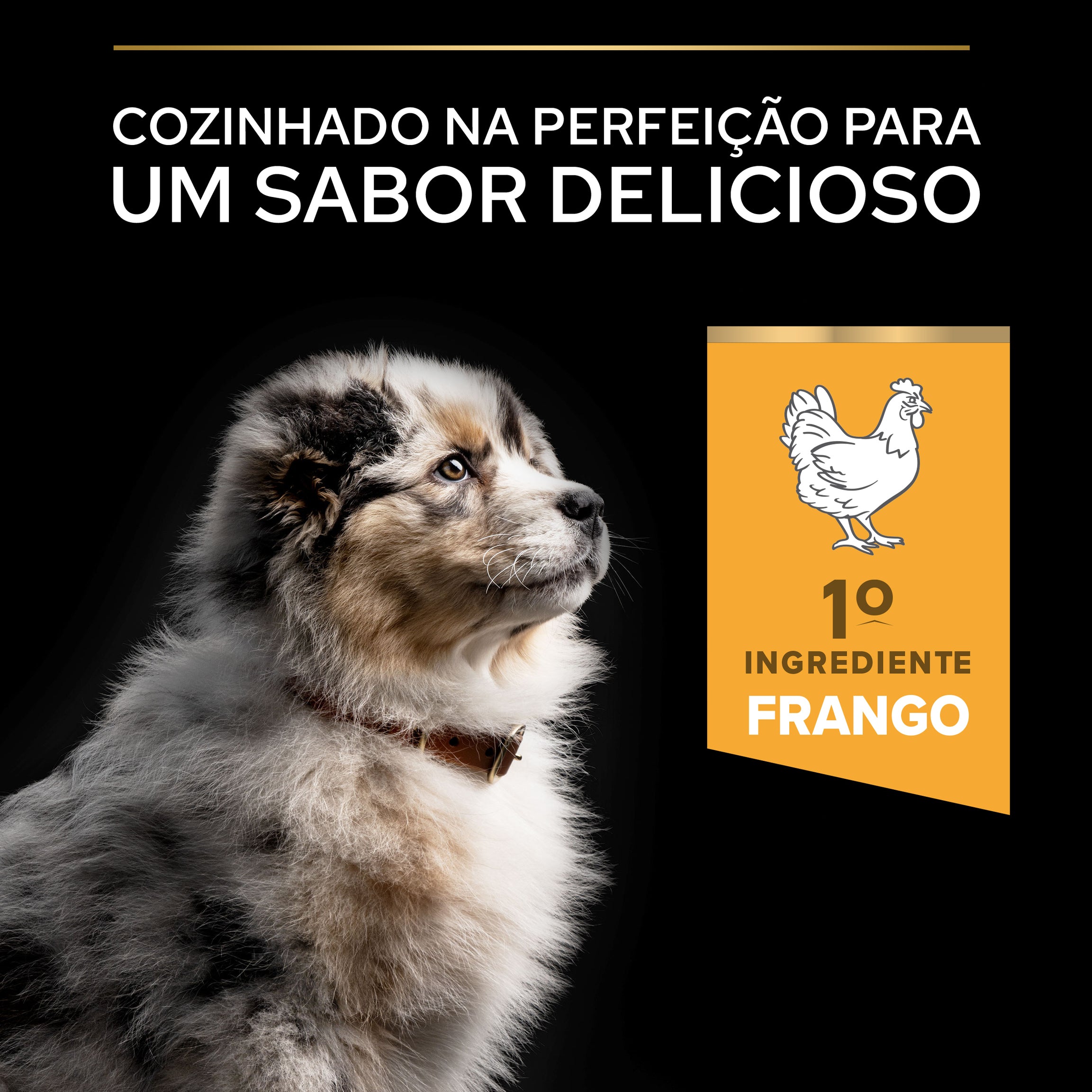 Purina Pro Plan Medium Puppy Healthy Start - Ração seca para cachorro médio rico em Frango