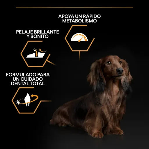Pro Plan Dog Small & Mini Adult Chicken - Ração seca para cão adulto de porte pequeno e mini - Frango