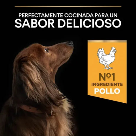 Pro Plan Dog Small & Mini Adult Chicken - Ração seca para cão adulto de porte pequeno e mini - Frango