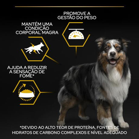 Pro Plan Dog OptiWeight All Size Adult Light / Sterilised Chicken - Ração seca para cães adultos, com excesso de peso ou esterilizados - Frango