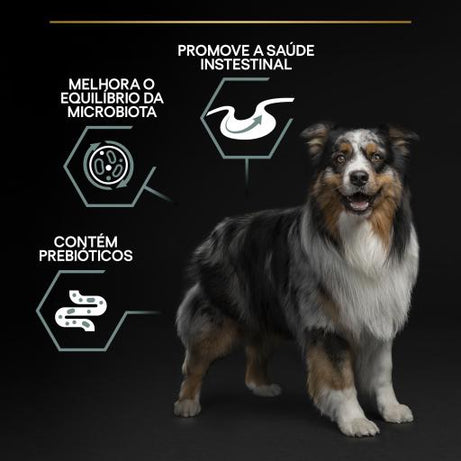 Pro Plan Dog OptiDigest Medium Adult Sensitive Digestion Lamb - Ração seca para cão adulto médio com sensibilidade digestiva - Borrego
