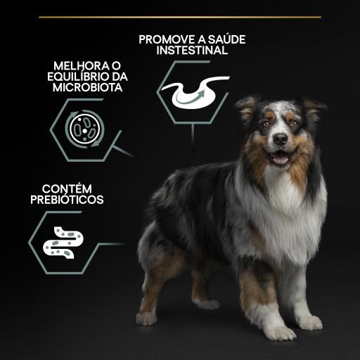 Pro Plan Dog OptiDigest Medium Adult Sensitive Digestion Lamb - Ração seca para cão adulto médio com sensibilidade digestiva - Borrego