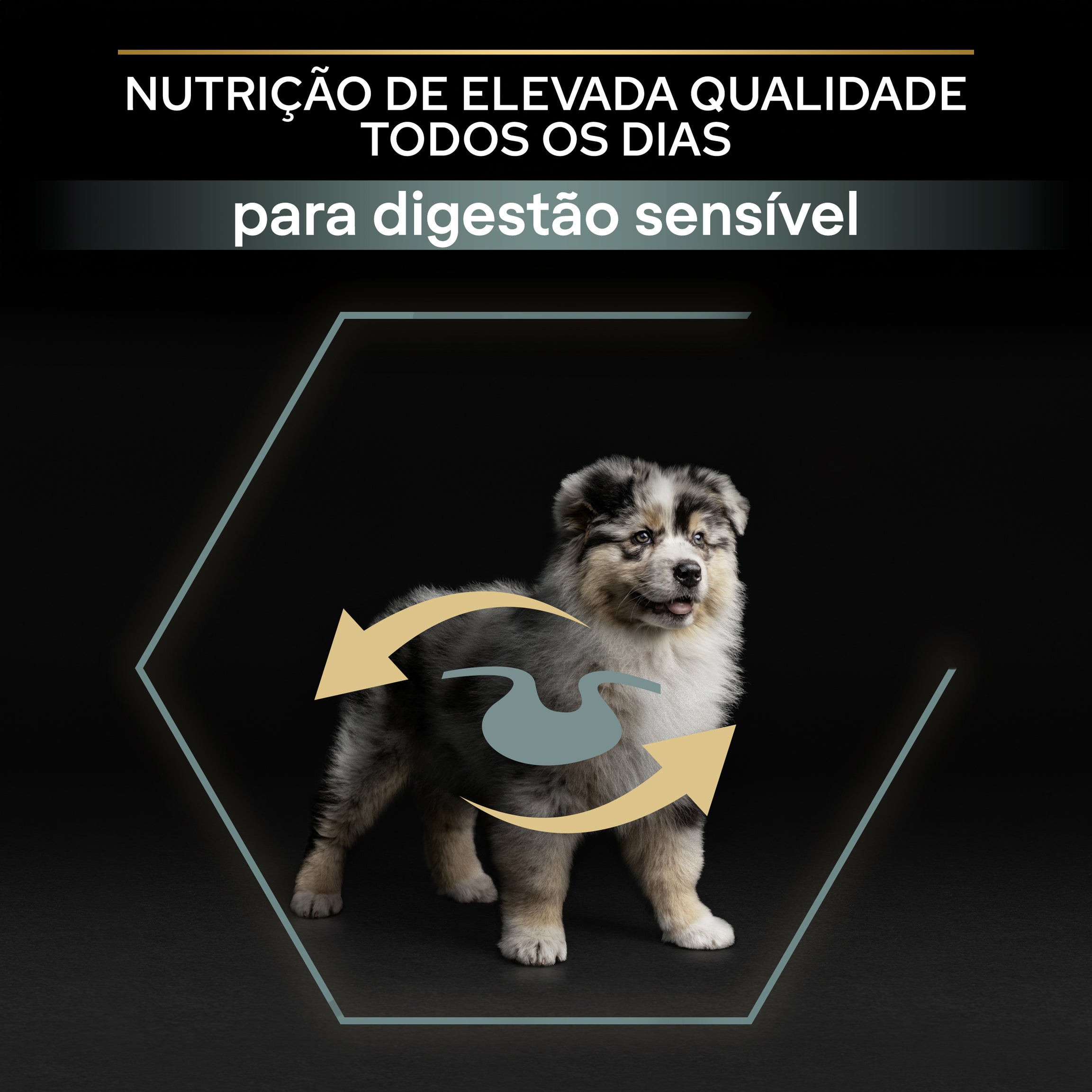 Pro Plan Dog Medium Puppy Sensitive Digestion - Ração seca para cachorro de porte médio com sensibilidade digestiva - Borrego
