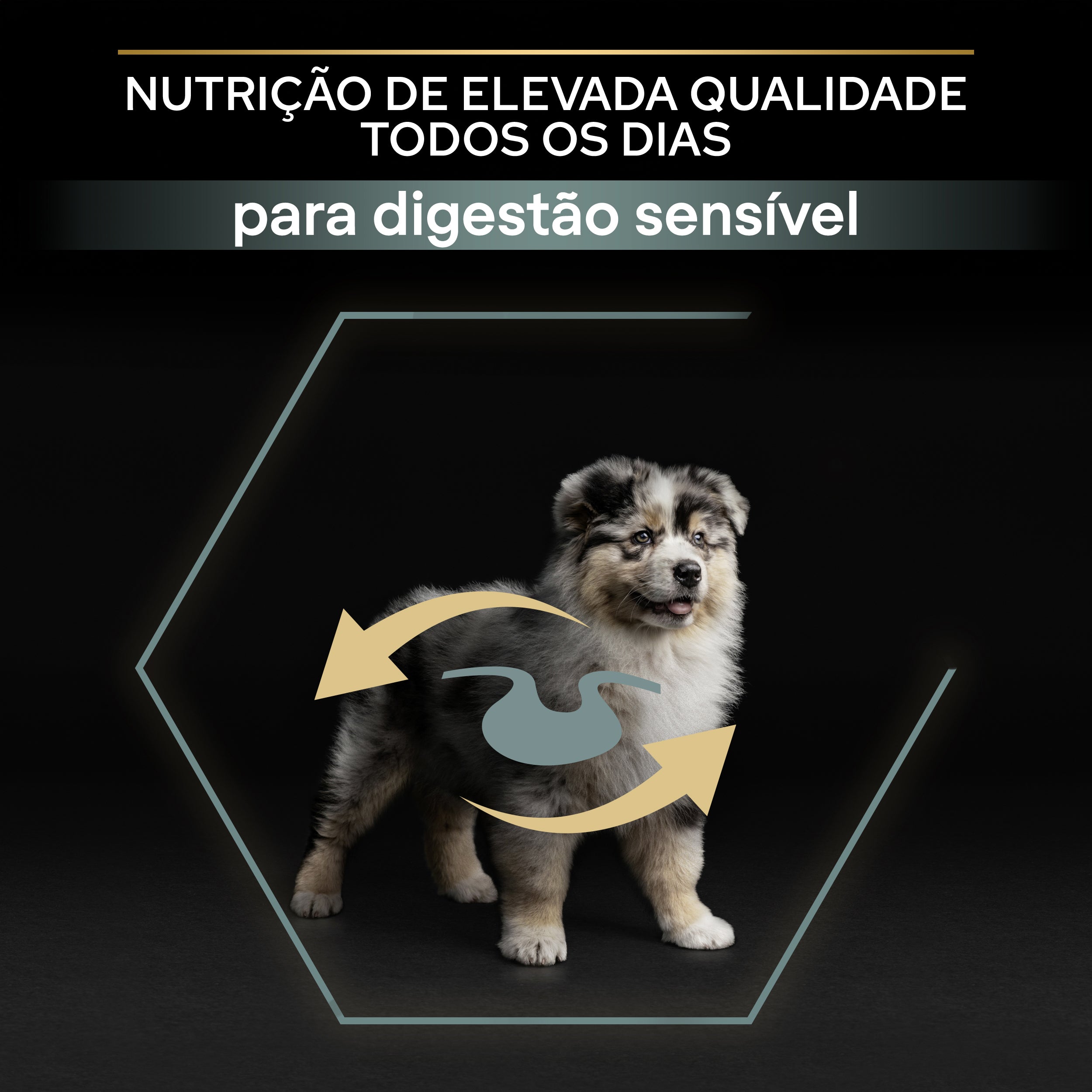 Pro Plan Dog Medium Puppy Sensitive Digestion - Ração seca para cachorro de porte médio com sensibilidade digestiva - Borrego