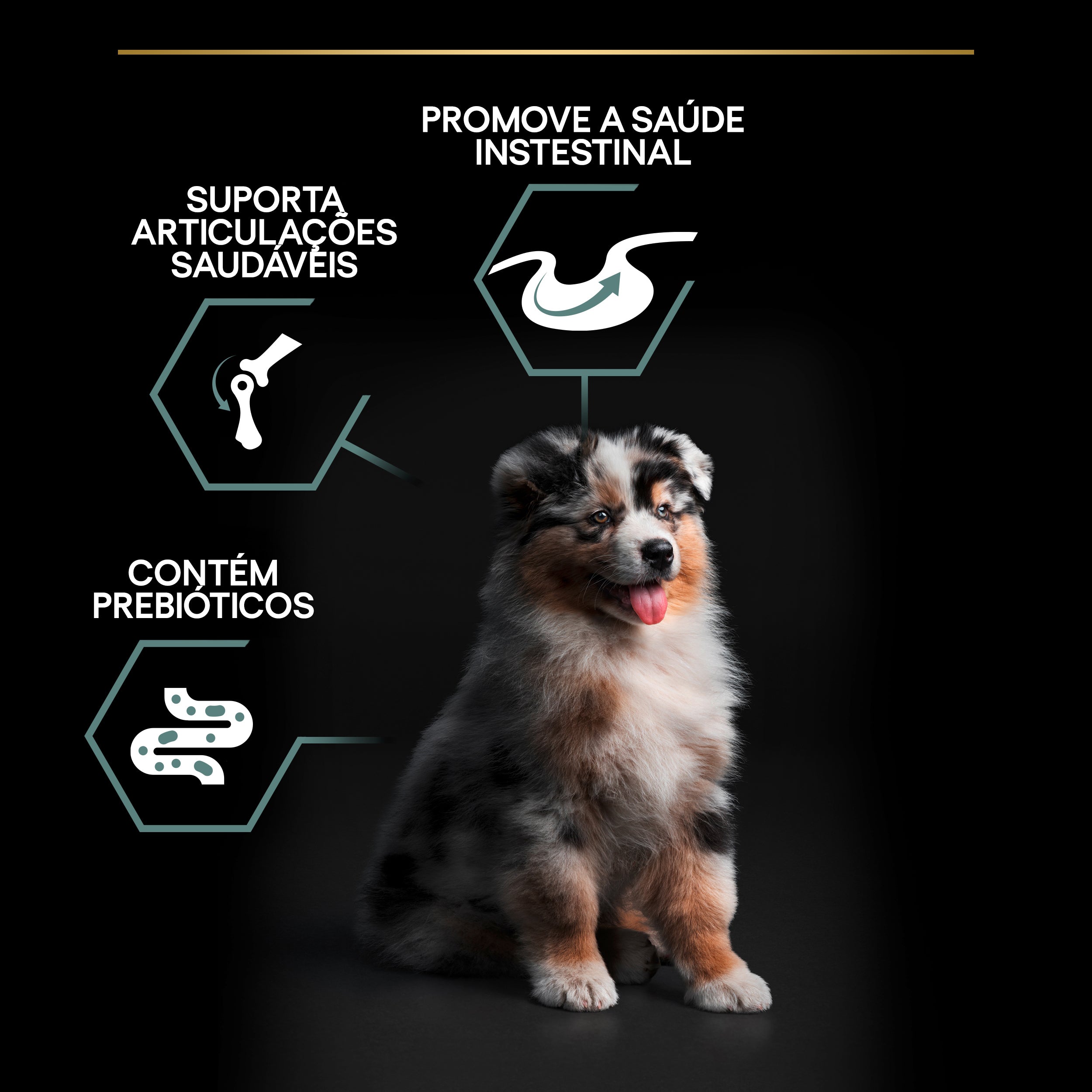 Pro Plan Dog Medium Puppy Sensitive Digestion - Ração seca para cachorro de porte médio com sensibilidade digestiva - Borrego