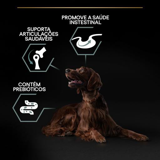 Pro Plan Dog OptiDigest Large Athletic Adult Sensitive Digestion Lamb | 14 Kg - Ração seca para cão adulto de porte grande e atlético com digestão sensível - Borrego