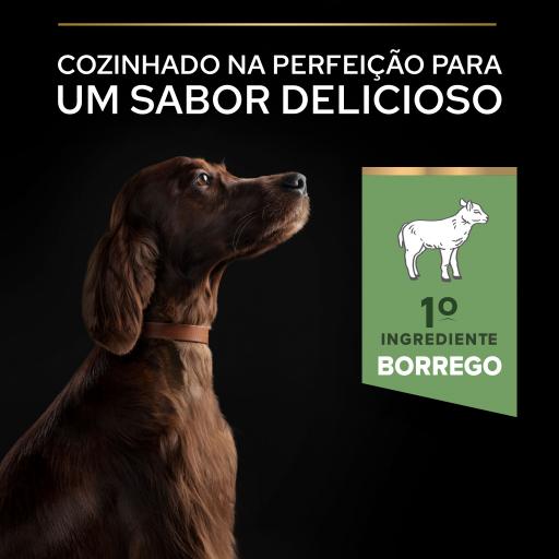 Pro Plan Dog OptiDigest Large Athletic Adult Sensitive Digestion Lamb | 14 Kg - Ração seca para cão adulto de porte grande e atlético com digestão sensível - Borrego
