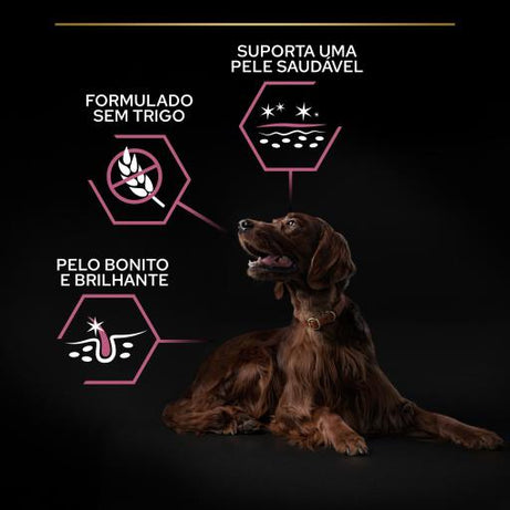 Pro Plan Sensitive Skin Large Athletic - Ração seca para cão adulto grande com pele sensível - Salmão | 14 kg