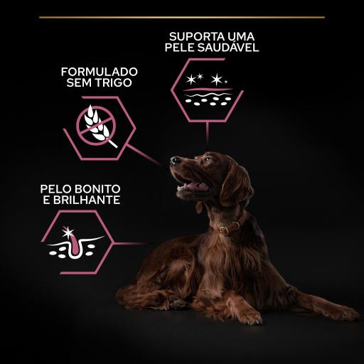 Pro Plan Sensitive Skin Large Athletic - Ração seca para cão adulto grande com pele sensível - Salmão | 14 kg