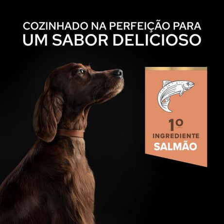 Pro Plan Sensitive Skin Large Athletic - Ração seca para cão adulto grande com pele sensível - Salmão | 14 kg