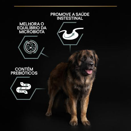 Pro Plan Dog OptiDigest Large Robust Adult Sensitive Digestion Lamb | 14 Kg - Ração seca para cão adulto grande e robusto com sensibilidade digestiva - Borrego