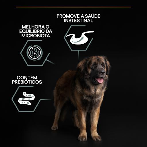 Pro Plan Dog OptiDigest Large Robust Adult Sensitive Digestion Lamb | 14 Kg - Ração seca para cão adulto grande e robusto com sensibilidade digestiva - Borrego