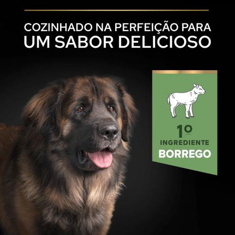 Pro Plan Dog OptiDigest Large Robust Adult Sensitive Digestion Lamb | 14 Kg - Ração seca para cão adulto grande e robusto com sensibilidade digestiva - Borrego