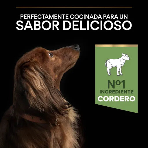 Pro Plan Dog Small & Mini Adult Sensitive Digestion Lamb - Ração seca para cão adulto pequeno e mini com sensibilidade digestiva - Cordeiro