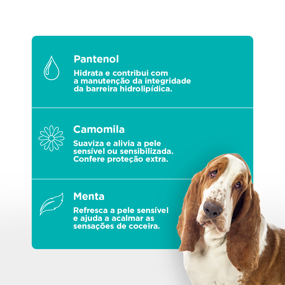 Pet Society Soft Care Eye Clean Up External Eye Cleansing