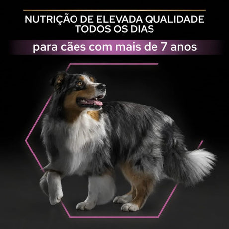 Pro Plan Dog OptiAge Medium & Large Adult 7+ Chicken - Ração seca para cães de porte médio e grande +7 anos - Frango