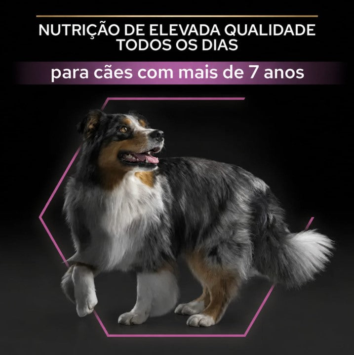 Pro Plan Dog OptiAge Medium & Large Adult 7+ Chicken - Ração seca para cães de porte médio e grande +7 anos - Frango