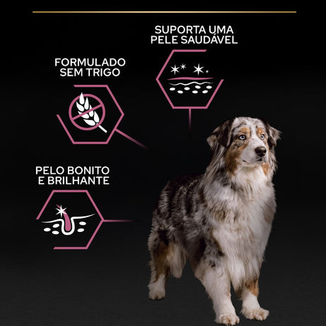 Pro Plan Dog OptiDerma Medium & Large Adult 7+ Sensitive Skin | 14 Kg - Ração seca para cão adulto de porte médio e grande 7+ com pele sensível - Salmão