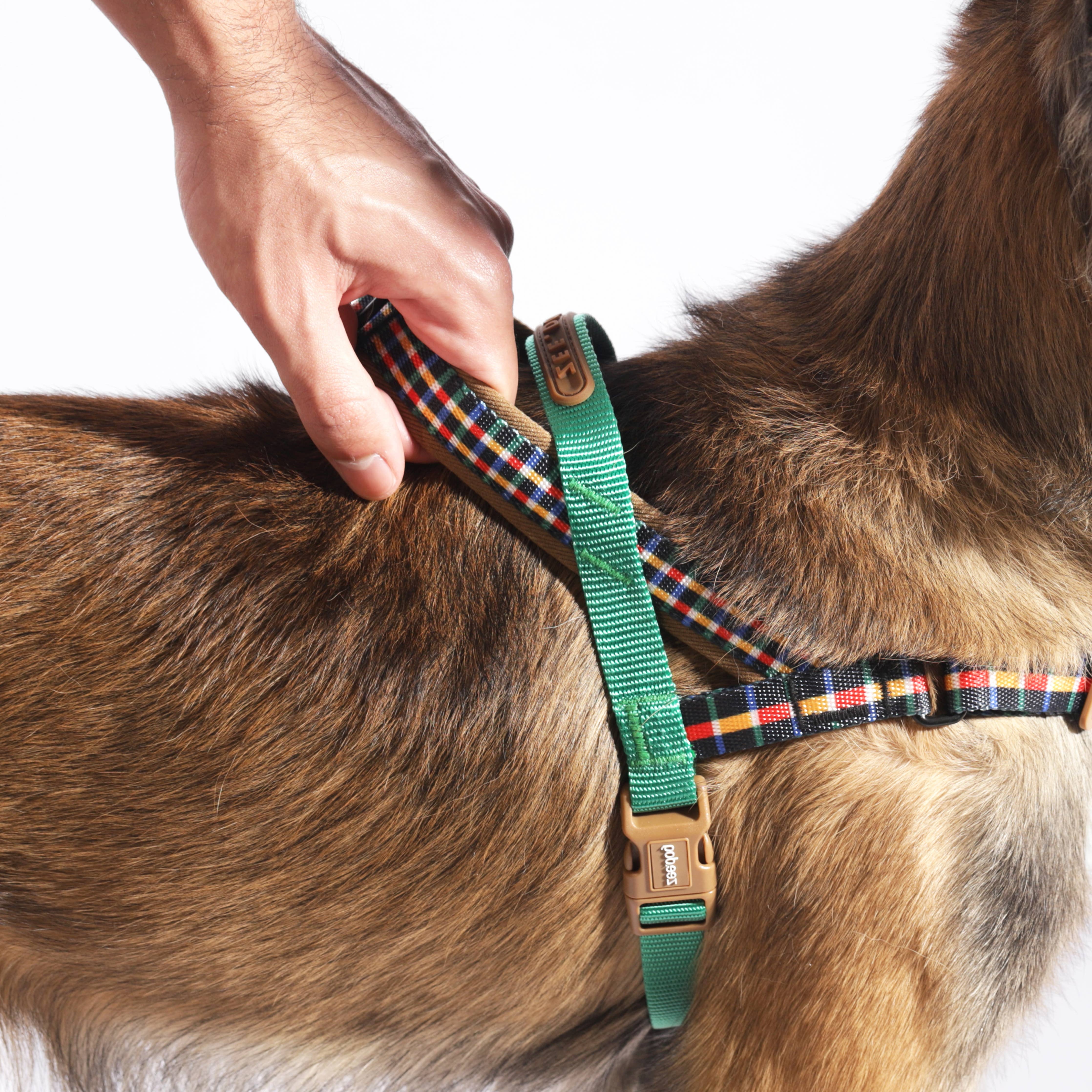 Peitoral Norueguês Softer-walk Travis: S