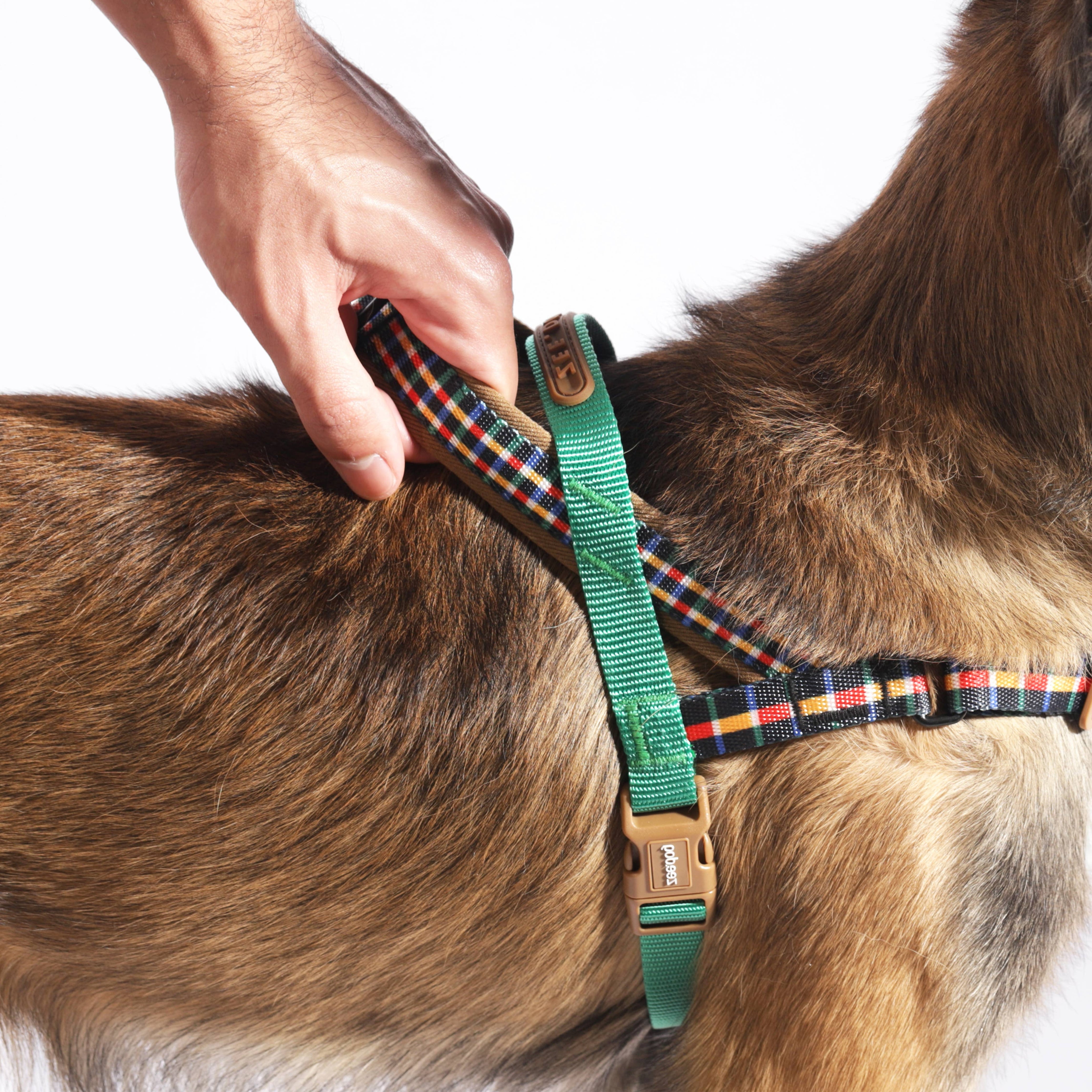 Peitoral Norueguês Softer-walk Travis: L