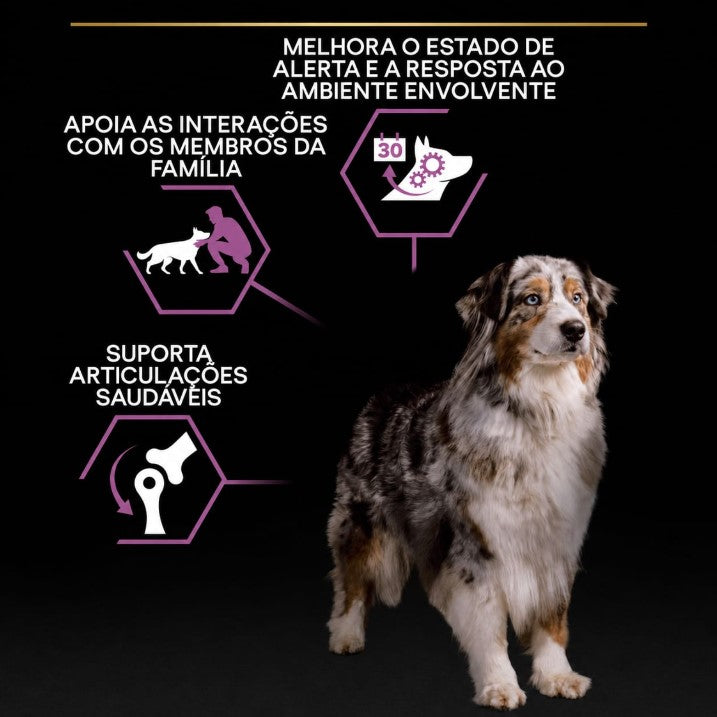 Pro Plan Dog OptiAge Medium & Large Adult 7+ Chicken - Ração seca para cães de porte médio e grande +7 anos - Frango