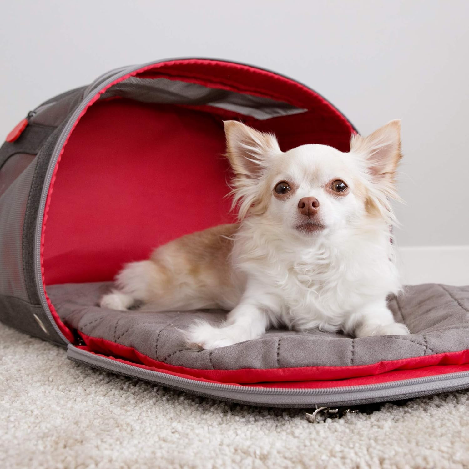 Asiento elevador para perros KONG Travel