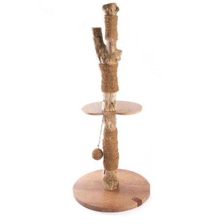 2-Level Cat Tree Coffee
