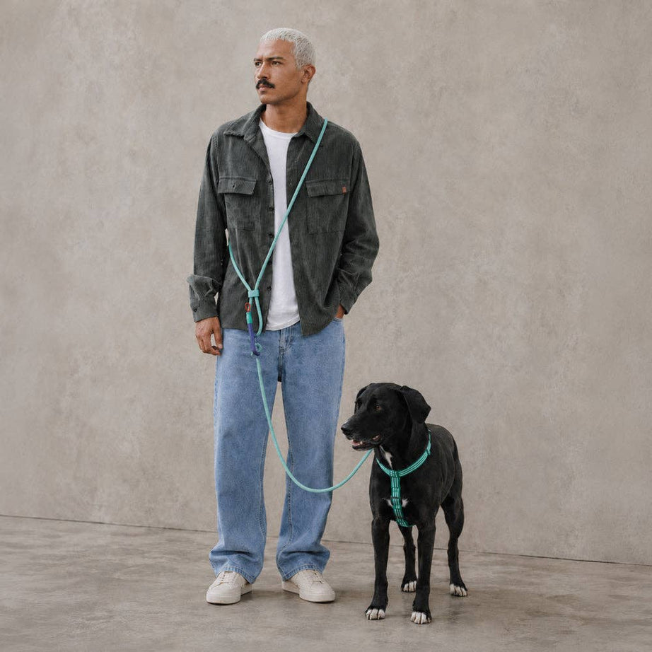 Trela Mãos-Livres para Cão Zee.Dog – Velvet Vibes - Verde | Tamanho único