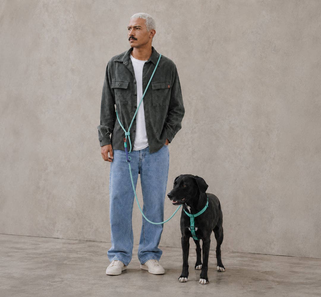 Trela Mãos-Livres para Cão Zee.Dog – Velvet Vibes - Verde | Tamanho único
