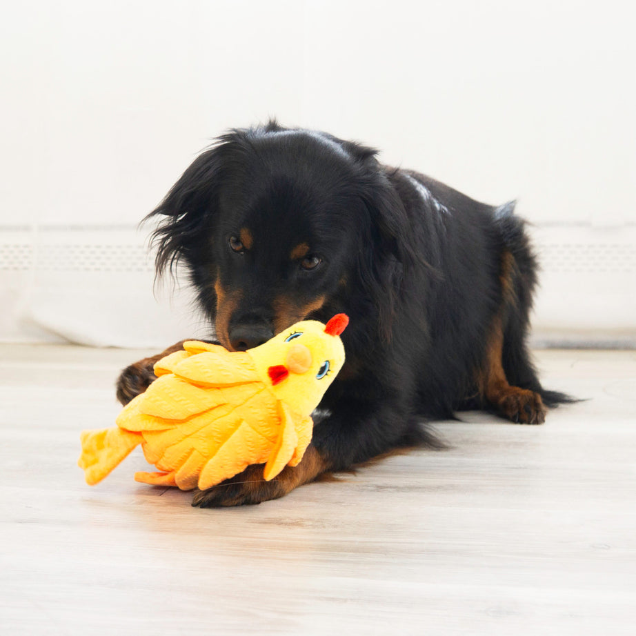 KONG Layerz Forage