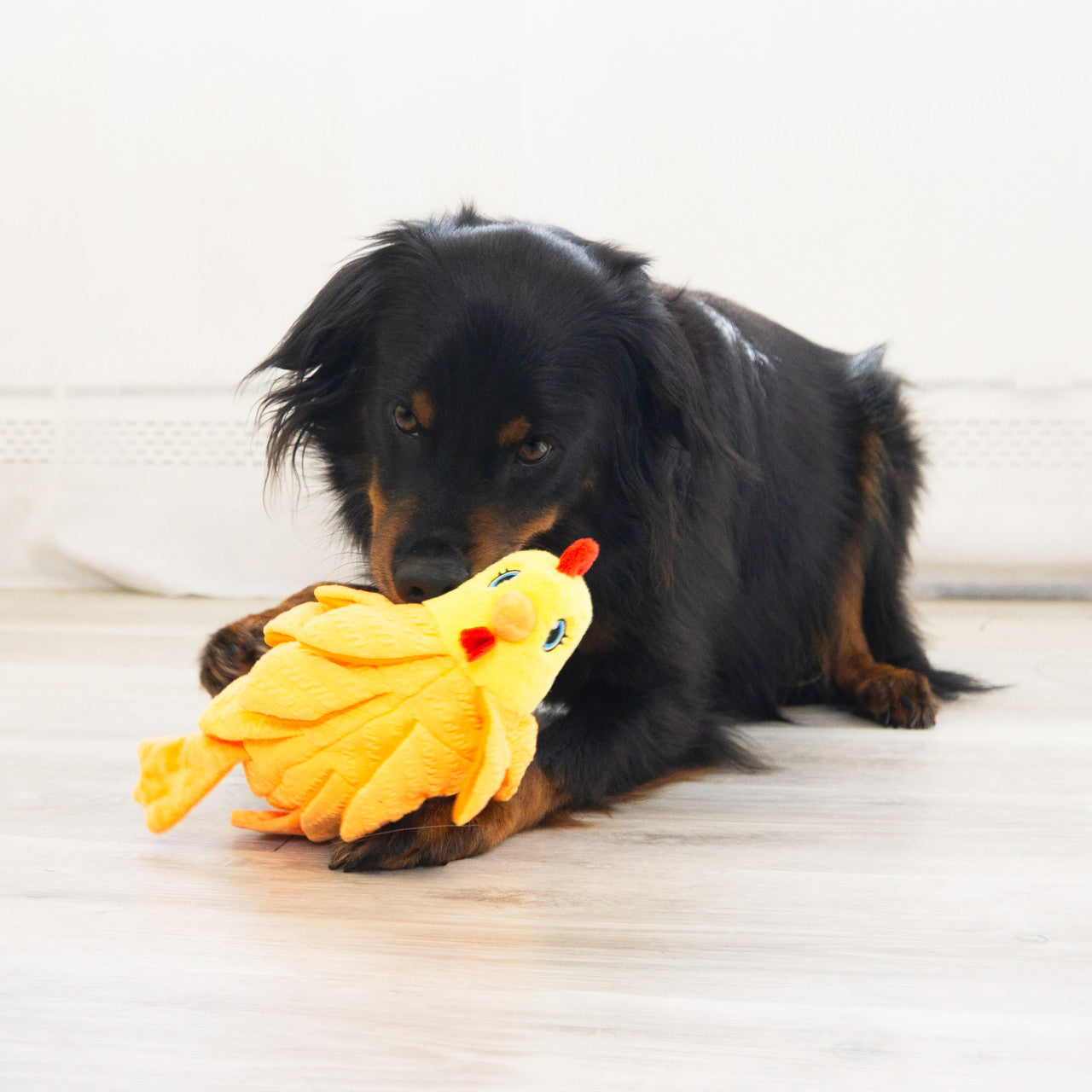 KONG Layerz Forage