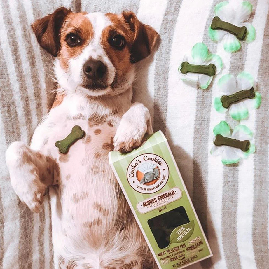 Cooka's Cookies Snacks - Porto Spirit