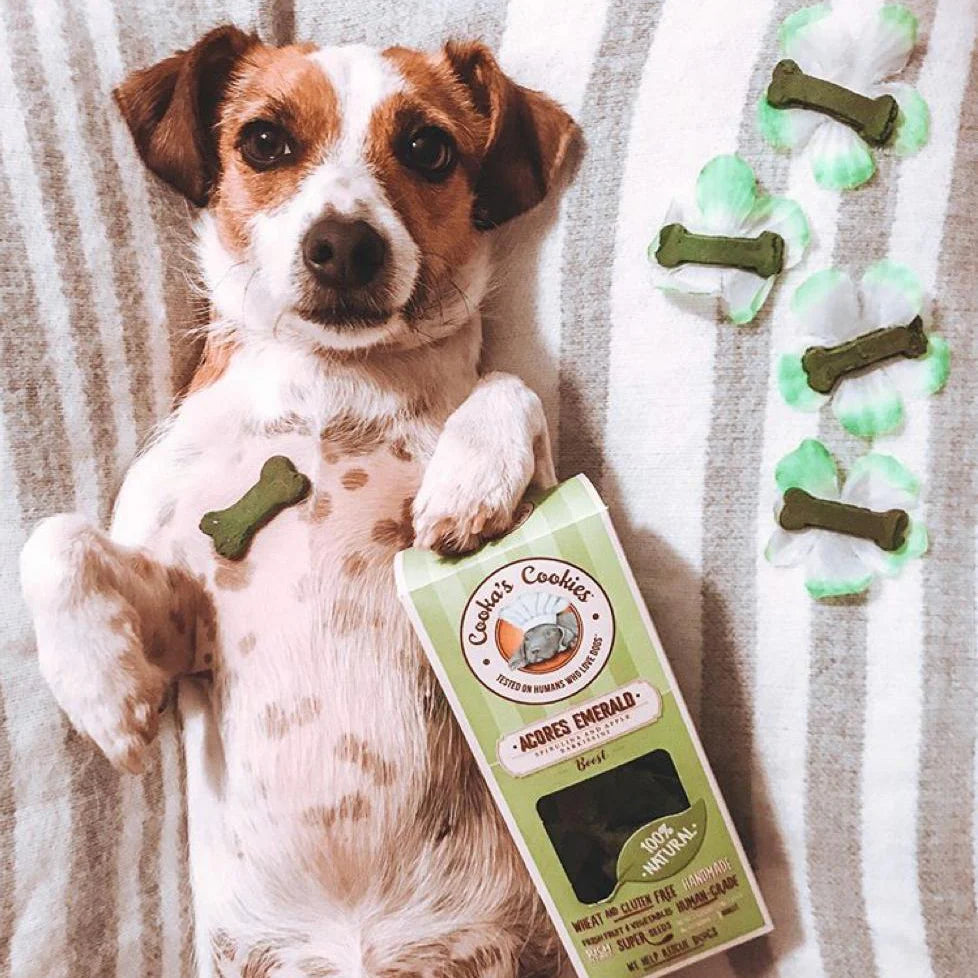 Cooka's Cookies Snacks - Porto Spirit
