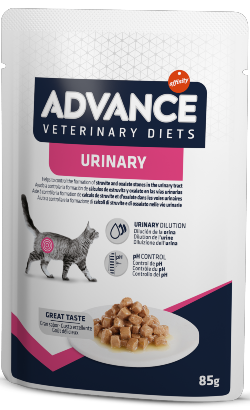 Advance Vet Cat Urinary| Wet (Saqueta) | 12 x 85 g