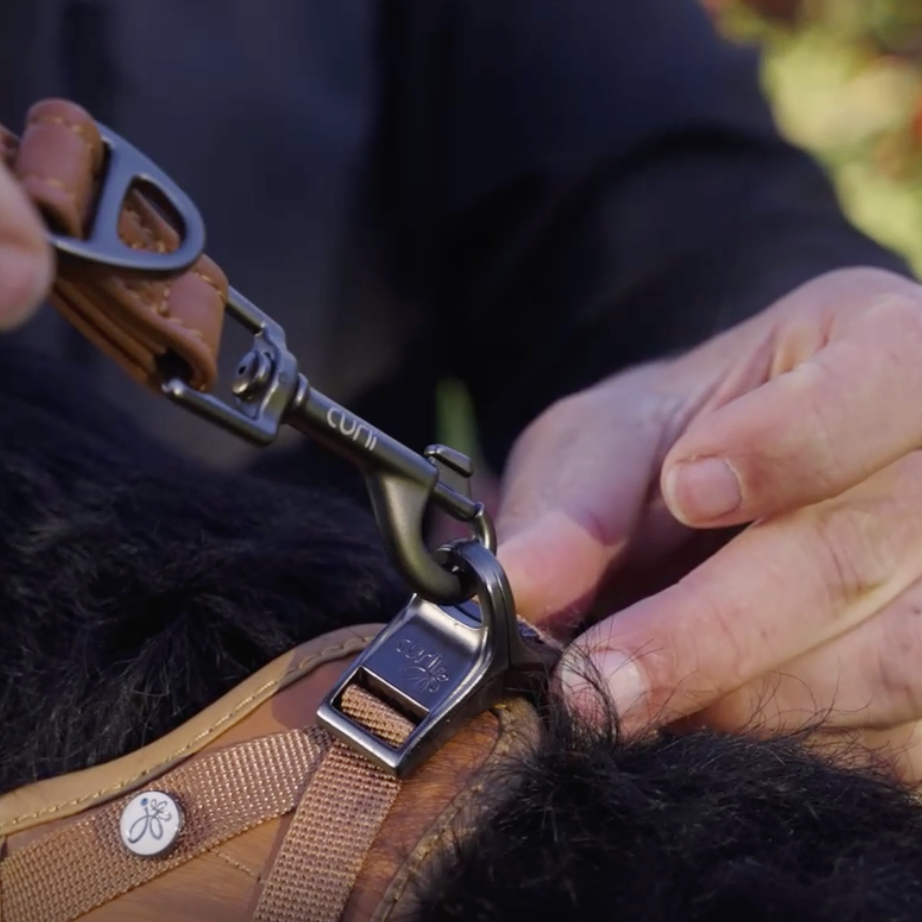 Curli Trela Ajustavel Apple Leather