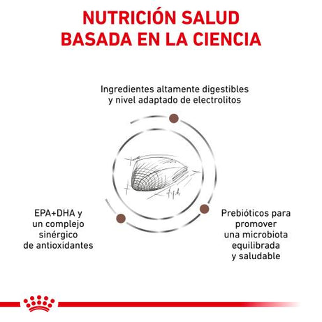Royal Canin Cat Gastrointestinal