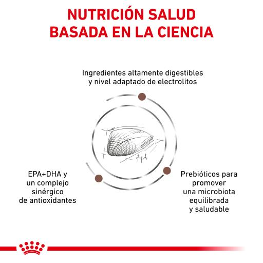 Royal Canin Cat Gastrointestinal