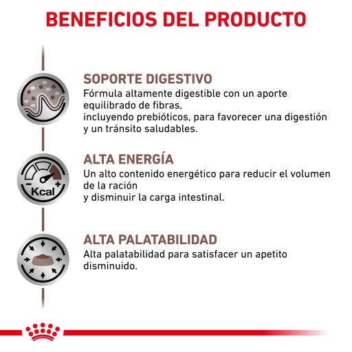 Royal Canin Cat Gastrointestinal
