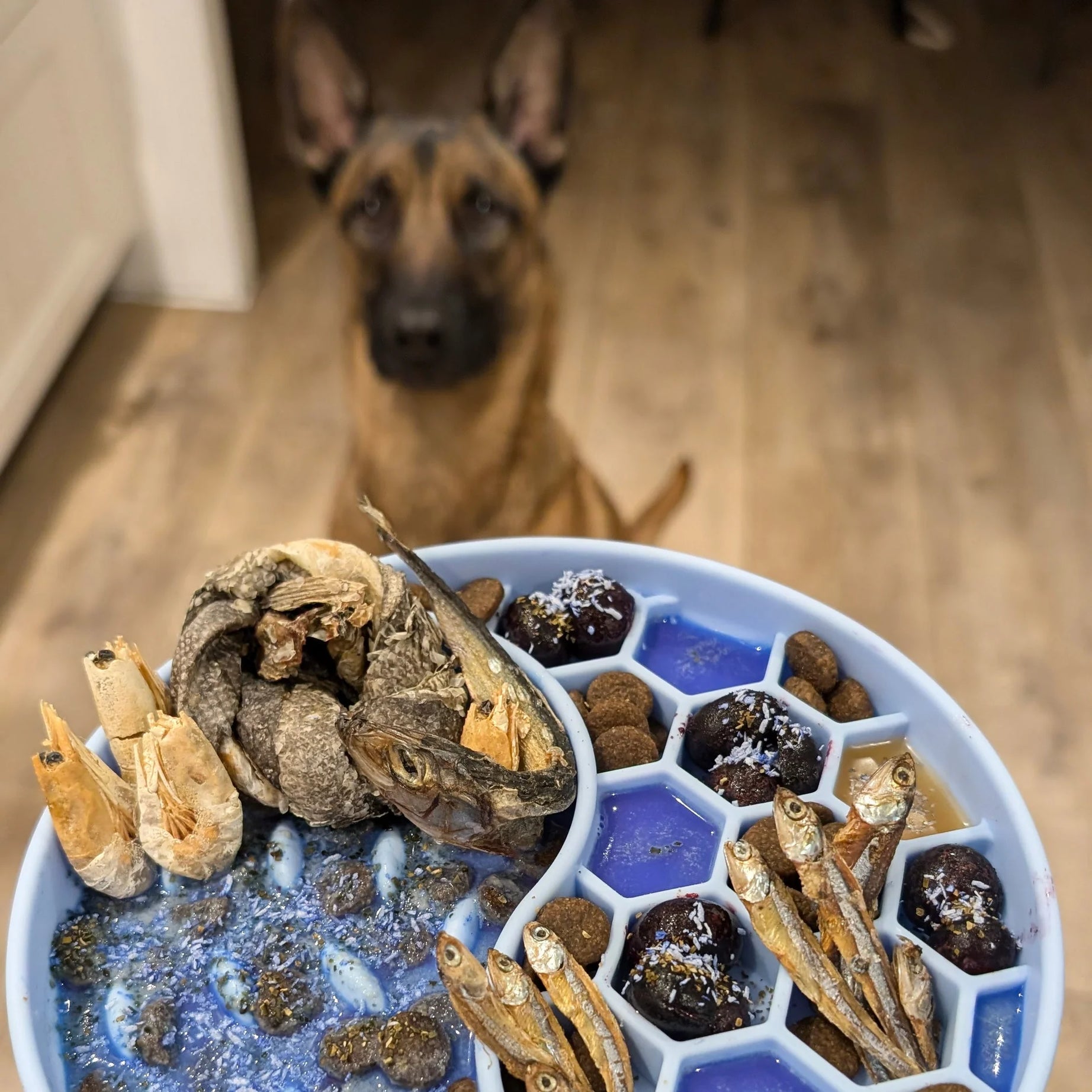Dog toppers and supplements - Mermaid Dust