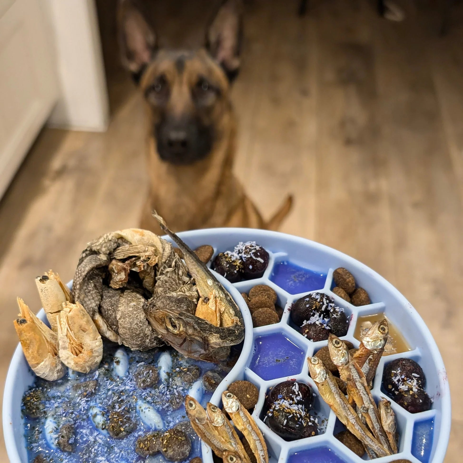 Dog toppers and supplements - Mermaid Dust