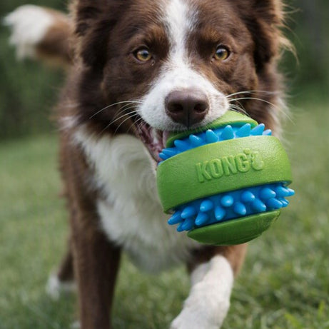 Pelota KONG SQUEEZZ GOOMZ