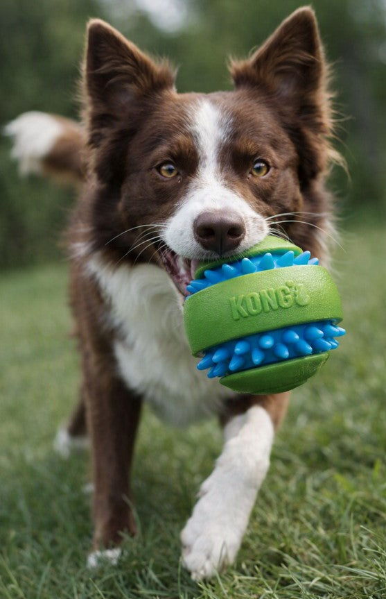 Pelota KONG SQUEEZZ GOOMZ