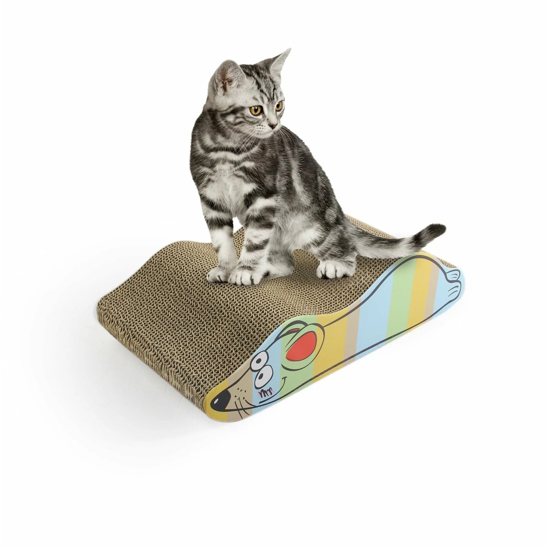 Afiador Catoon - Back Mouse