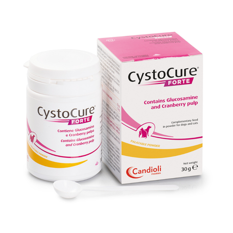 Juguete masticable circular para perros Kong Dotz