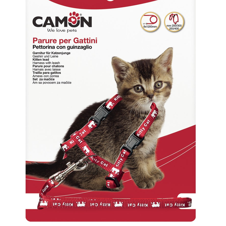 Peitoral com Trela para Gatinho