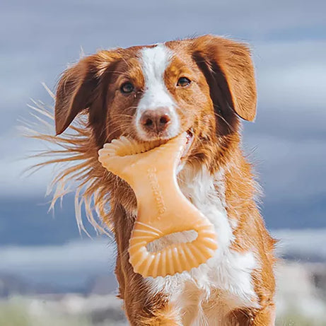 BENEBONE DENTAL CHEW CHICKEN