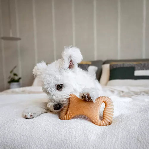 BENEBONE DENTAL CHEW CHICKEN